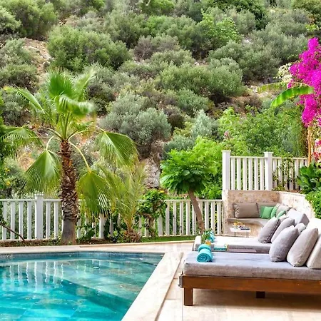 Villa Korsan- 8 Bedroom Villa With Private Pool And Sea View